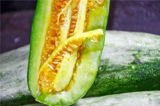 吃瓜最近网红圈,吃瓜群众热议最新热点事件