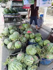 琼海网红吃瓜事件视频