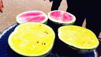 网爆吃瓜视频,揭秘娱乐圈幕后真相