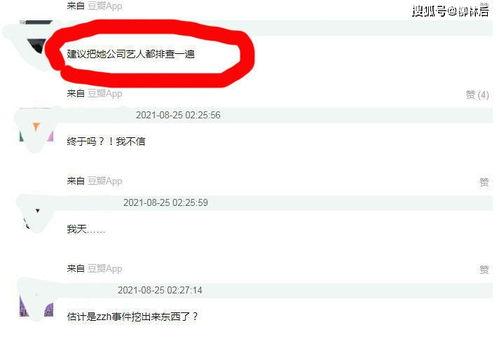 5.1吃瓜网最新版本,揭秘娱乐圈最新动态，带你畅游八卦海洋