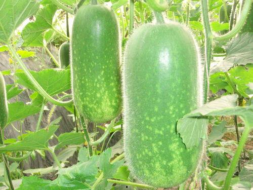 625吃瓜网,网络舆论风向标背后的故事