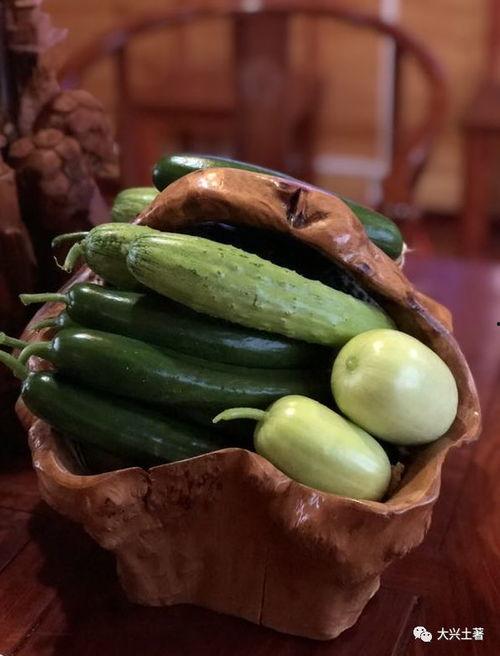 网红罗阿微吃瓜