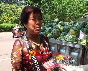 武都网红吃瓜群众视频播放,揭秘视频播放背后的热门现象