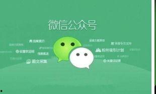 吃瓜公众号资源分享网,海量资讯一网打尽