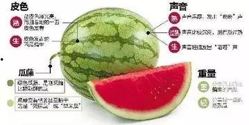 浏阳网红吃瓜群微信,揭秘网络社交圈的趣味与热议