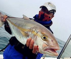 网红鱼神吃瓜视频大全,揭秘网红鱼界风云录