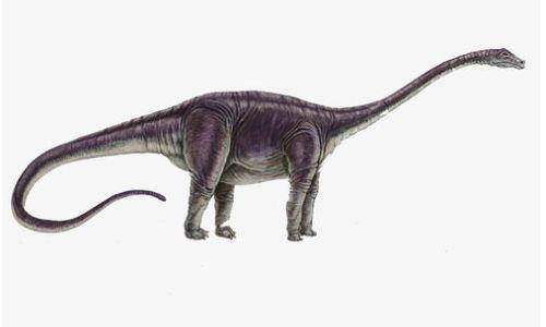 网红吃瓜恐龙图片高清,高清视觉盛宴揭秘神秘生物