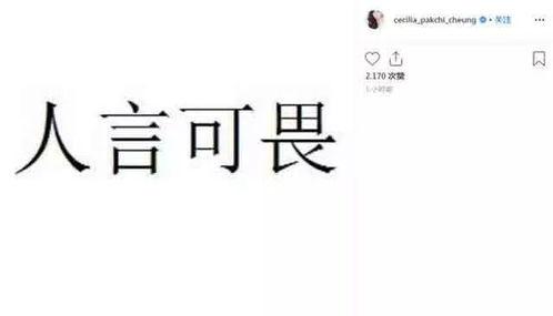 四个字网红吃瓜视频