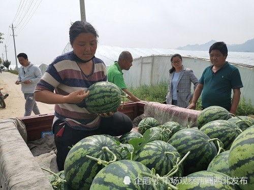 三水区网红吃瓜事件最新