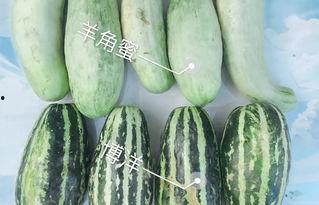 网暴网红吃瓜,网红吃瓜事件引发社会热议